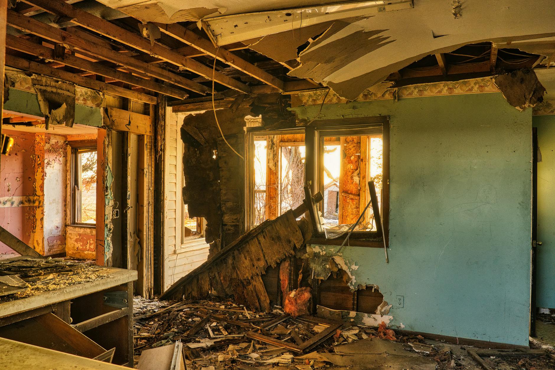 Mold Removal Mold Gallery FL 33483